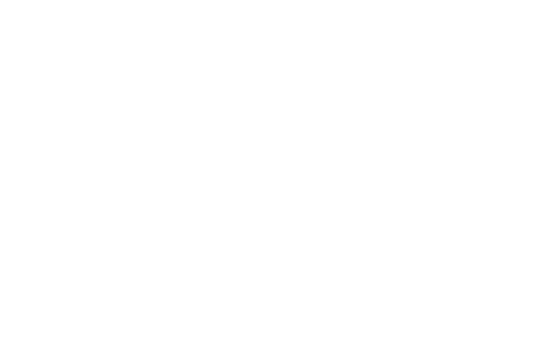 Serena Woodsen Accessories